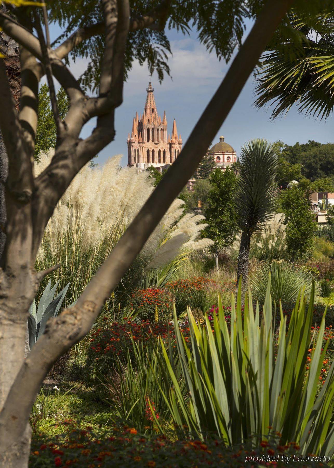 Rosewood San Miguel Hotel San Miguel de Allende Eksteriør billede